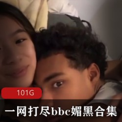 一网打尽(bbc媚黑)+经典资源合集