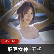 麻豆女神苏畅回归,1-4合集,4V2.6G