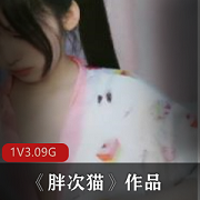胖次猫直播资源:互动身材妖娆,1GB录屏,3.09GB总大小