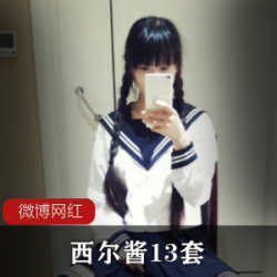 西尔酱,13套