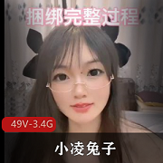 可御可萝小凌兔子无保护49V-3.4G