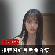 推特网红月兔兔高能合集19V495M,舞蹈颜值精华